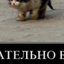 Марія Юськевич фотография #17 (источник - https://vk.com/id76562134)