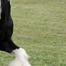 Даша Матинян фотография #28 (источник - https://vk.com/id34196743)