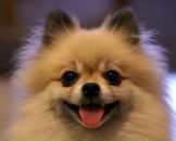 Євгенія Бондарева фотография #3 (источник - https://vk.com/id58162004)