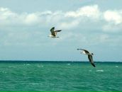 Фотография Смирнова Николая