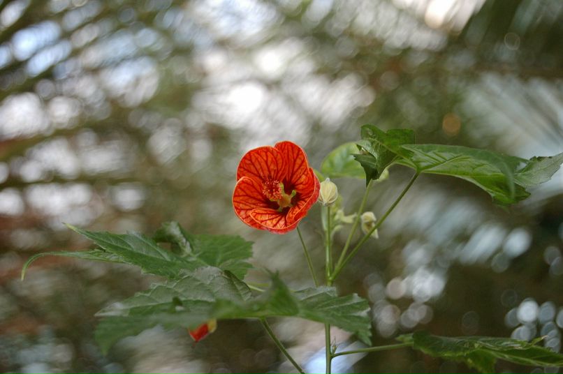 Святослав Тодер фотография #26