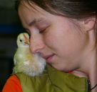 Фотография Кутерницкой Елены