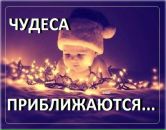 Олечка Новікова фотография #7 (источник - https://vk.com/id152682009)