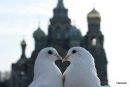 Віталіна Мельник фотография #14 (источник - https://vk.com/id36486141)