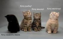 Фотография Скопиной Елены