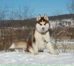 Дима Пилипчук фотография #33 (источник - https://vk.com/id20813129)