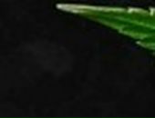 Вова Жилкін фотография #8 (источник - https://vk.com/id66283151)