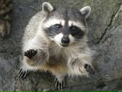 Фотография Novitskiy Dmitriy