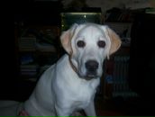 Фотография Зинина Леонида