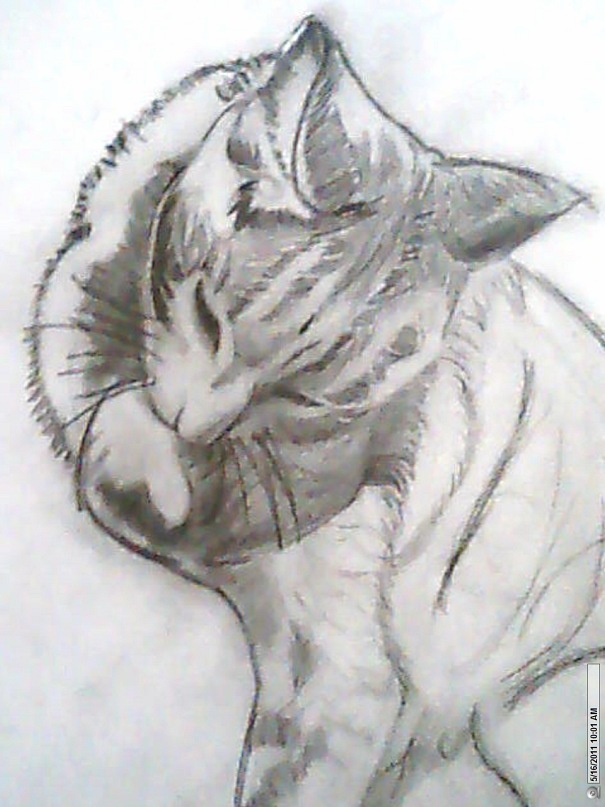 Raquel J фотография #28