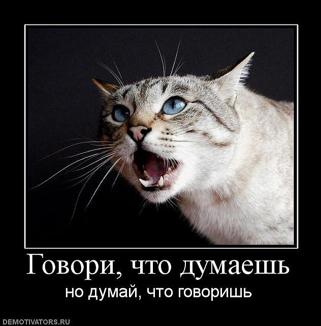 Иван Иванов фотография #15