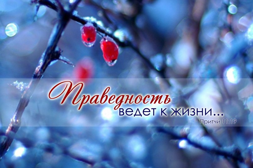 Era New фотография #30