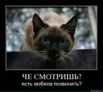 Фотография Метелёвой Галины