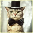 Фотография Добыша Николая