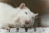 Фотография Добрыниной Вероники