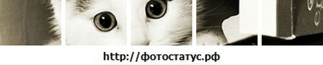 Іннусик Дроздюк фотография #23 (источник - https://vk.com/id95488502)