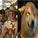 Ігор Островський фотография #46 (источник - https://vk.com/id17894283)