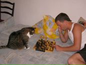 Фотография Морозова Анастасия