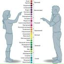 Οлеся Βолкова фотография #21 (источник - https://vk.com/id163380141)