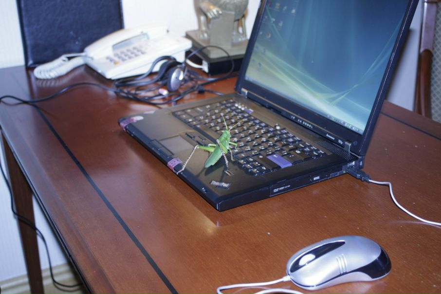 Сергей Микитенко фото №47