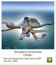 Иван Бабинец фотография #25 (источник - https://vk.com/id120069385)