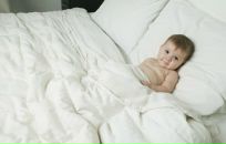 Фотография Бобренев Антон