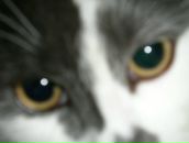 Фотография Гапоновой Зои