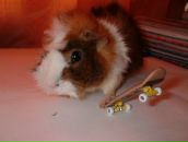 Вітя Рішко фотография #48 (источник - https://vk.com/id113222401)