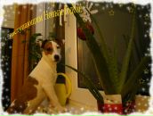 Света Смирнова фотография #48 (источник - https://vk.com/id178532)