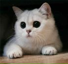 Фотография Благонравовой Татьяны