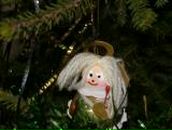 Фотография Букаловой Екатерины