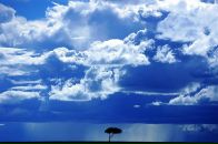 Forest Magic фотография #32 (источник - https://vk.com/id2086693)