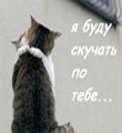 Юлія Ющук фотография #41 (источник - https://vk.com/id54782534)