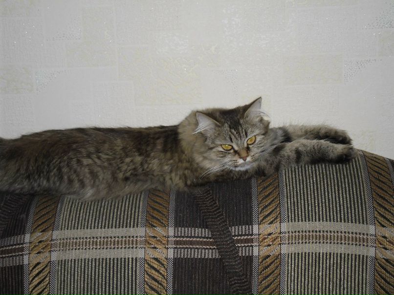 Женя Дмитриев фотография #20