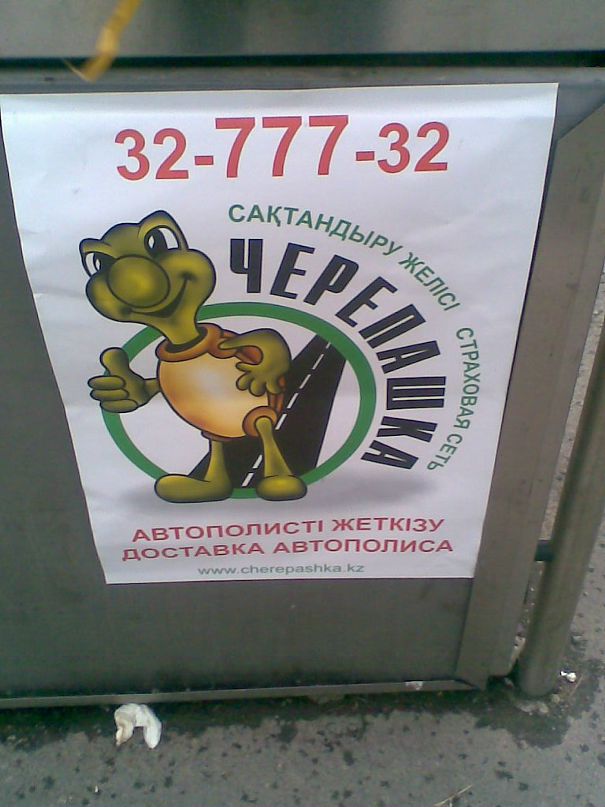 Виктор Дмитриев фотография #9