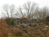 Міша Шкромида фотография #30 (источник - https://vk.com/id65454532)