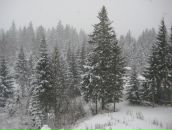 Віталій Мнечнік фотография #22 (источник - https://vk.com/id82858658)