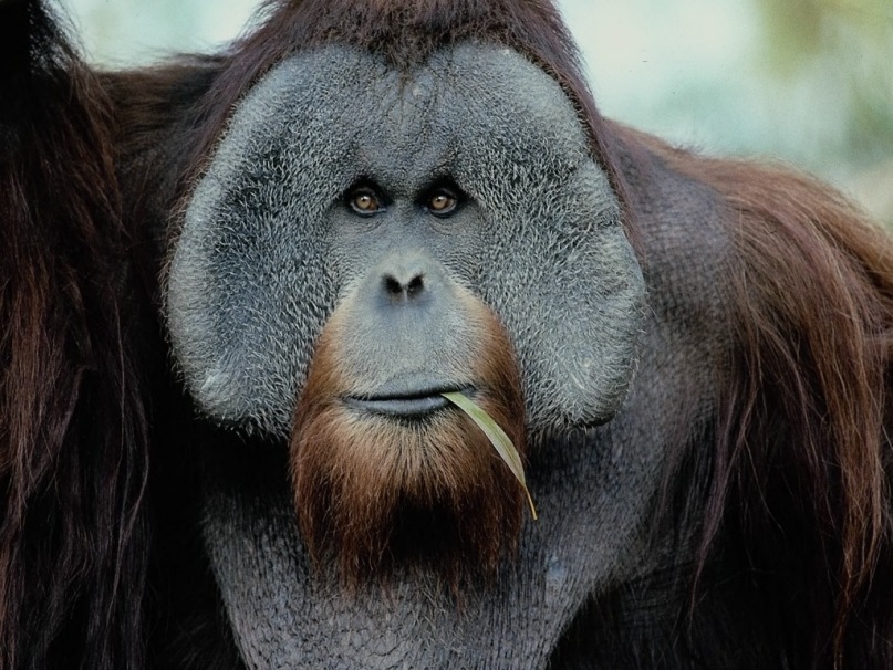 Симён Митин фотография #23