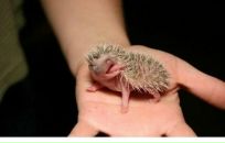 Фотография Мерзлякова Романа