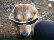 Фотография Янковой Елены