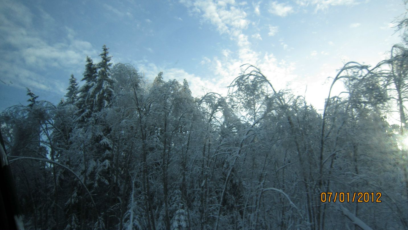 Дмитрий Грачёв фотография #30