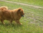 Ігор Самборський фотография #8 (источник - https://vk.com/id74238124)