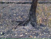 Сергей Чулочников фотография #26 (источник - https://vk.com/id271202)