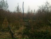 Сергей Чулочников фотография #21 (источник - https://vk.com/id271202)