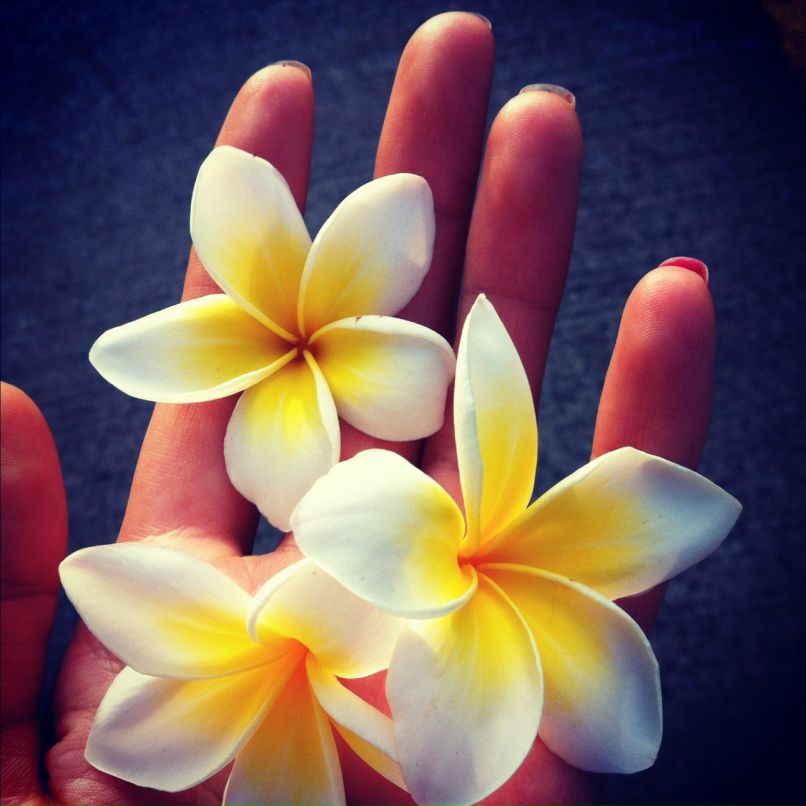 Саша Гелета фотография #14