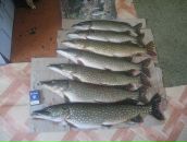 Фотография Шереметьева Сергея