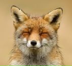 Фотография Зорина Психолог Марии