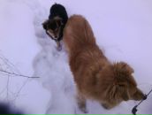 Міша Мудрак фотография #48 (источник - https://vk.com/id133031979)