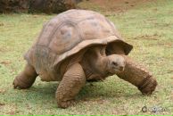 Фотография Bagirova Лейлы