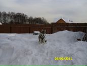 Евгения Дарий фотография #14 (источник - https://vk.com/id2201000)